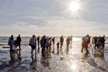 Excursionistas en el parque nacional del mar de Wadden, cerca de la isla de Spiekeroog (Alemania).