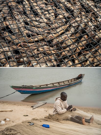 El cambio climático está aumentando el riesgo de inundaciones en Nigeria, y poniendo la vida más difícil también a estos pescadores. Entre junio y noviembre del año pasado, 1,5 millones de nigerianos tuvieron que abandonar sus hogares a causa de las inundaciones y unas 500.000 hectáreas de cultivos sufrieron daños. Los pescadores nómadas se adaptan a los ciclos cambiantes de las lluvias, anticipando o posponiendo sus desplazamientos a lo largo del río Níger en función de su caudal y condiciones meteorológicas. En la foto, un pescador arregla su red en la isla temporal que se crea en Igdebor, llamada Nkpologwu, el pasado enero. 