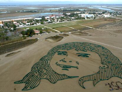 La obra creada en el Delta del Ebro por 350 Earth