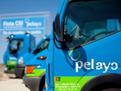 La aseguradora Pelayo crece con la absorción de Mutral