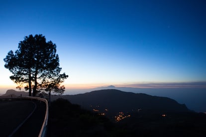 Parque Natural de Tamadaba, en Gran Canaria.