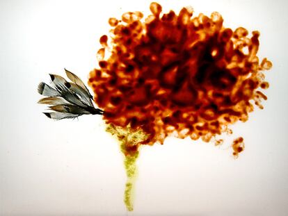 Ingredientes del gazpacho de Utile, en un homenaje al ratista Cy Twombly y su obra <i>Proteus</i>.