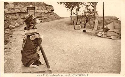 El perro guardabarreras de Montserrat saludaba a los viajeros que llegaban con el cremallera a mediados del siglo pasado. 