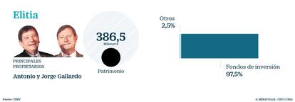 Los hermanos Gallardo, fundadores de la farmacéutica Almirall, prefieren invertir su fortuna a través de una selección de fondos de inversión internacionales. Su sicav Elitia, con cerca de 400 millones de patrimonio, destinó el 97% de su cartera a invertir en otro vehículos. Aunque a mitad de año era de las pocas sicav que había esquivado las pérdidas, acabó el año cediendo un 4,78%. Los gestores consiguen acceder a fondos que cobran comisiones muy bajas (sus gastos totales en 2017 fueron del 0,64%). De los 17 fondos en que invierte, una mayoría está enfocada en comprar acciones de Estados Unidos (Vanguard S&P 500, Artisan Global Value, JO Hambro Global Opportunities) y países emergentes (Carmignac Emerging Discovery, Aberdeen Global Emerging Markets...) y algún fondo de renta fija emergente (Neuberger Berman Emerging Market Debt).