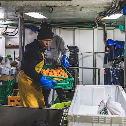 Los marineros de 'Nosa Madre Rosaura' cargan alimentos para su próxima campaña. 