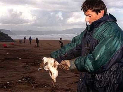 Un voluntario limpia un pájaro contaminado por el fuel en la playa vizcaína de Sopelana.