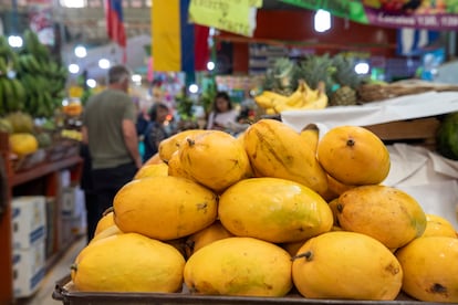 Mangos en el Mercado de Medellín en la colonia Roma en la Ciudad de México el 28 de febrero del 2024.