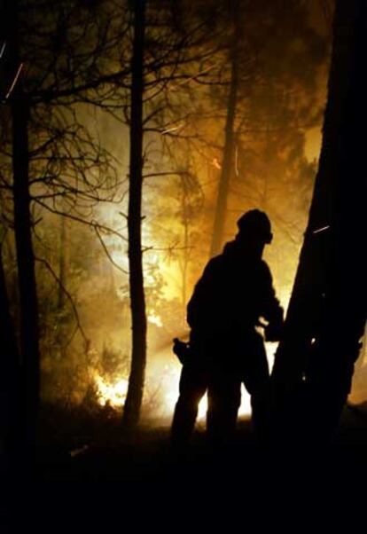 Agentes medioambientales combaten el incendio de Guadalajara.
