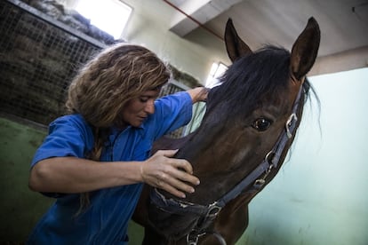 El hospital veterinario de la Complutense atiende urgencias las 24 horas del día de todo tipo de animales. Al centro están adscritos 74 profesores, 64 miembros de personal de administración y servicios, 16 veterinarios internos, cuatro residentes europeos y 263 alumnos colaboradores.