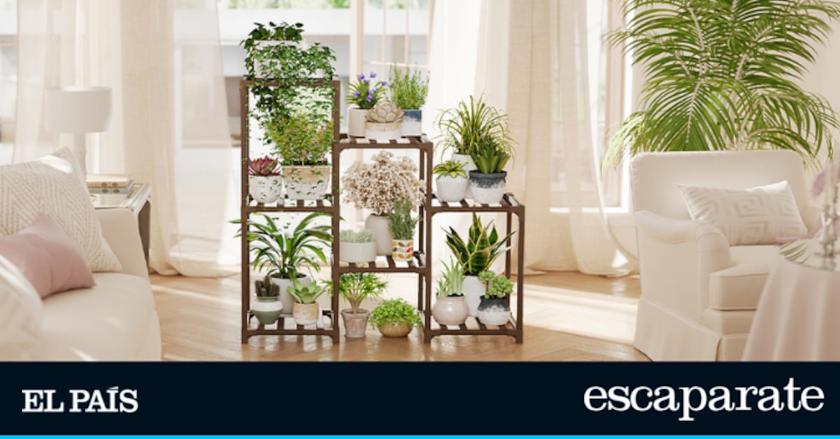 El estante para plantas más vendido de Amazon: económico, ideal para interiores y con descuento hasta hoy