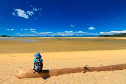 El parque nacional de Abel Tasman es uno de los lugares más bellos de las islas, de esos que nos asegurará un reportaje fotográfico para ser la envidia de todos. Aquí la naturaleza seduce a base de verdes montes rodeados de calas de arena dorada lamidas por un mar de aguas cristalinas. Este parque costero comprende el extremo de un macizo de montañas al norte de la Isla Sur y está surcado por senderos, entre ellos la popular ruta Abel Tasman Coast Track (en la foto): 51 kilómetros de mar, arenas doradas, bosques costeros y sorpresas ocultas, como la Cleopatra’s Pool. Conviene reservar con mucho tiempo los alojamientos de la ruta y los pases anuales, pues son limitados.