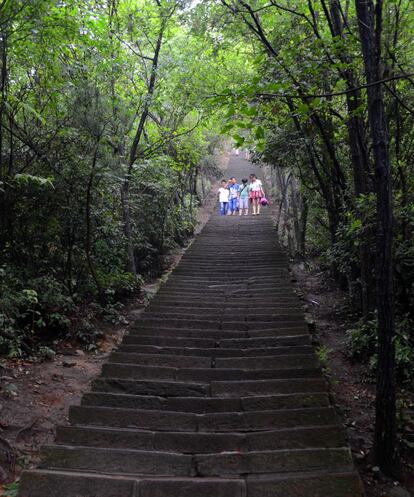 Las escaleras que llevan al mirador de Yuanjiajie. Para quienes no se atrevan con sus 7.000 peldaños existe la opción de subir en ascensor.