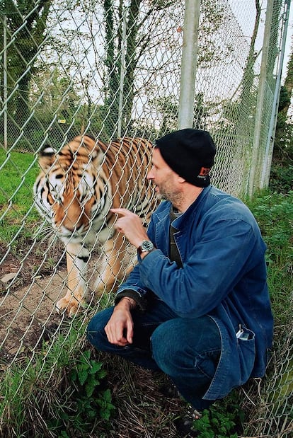 Benjamin Mee , saluda a &#39;Vladimir&#39;, un imponente tigre de Amur.