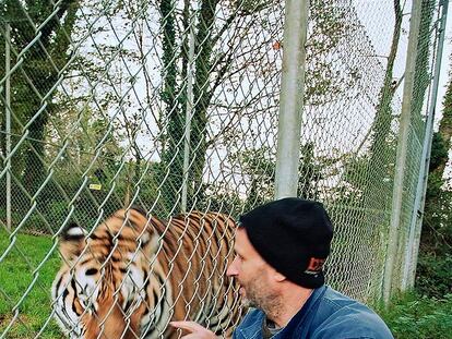 Benjamin Mee , saluda a 'Vladimir', un imponente tigre de Amur.