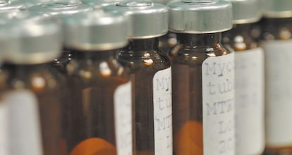 Dosis de la vacuna de la tuberculosis que desarrollan investigadores espa&ntilde;oles fabricadas por el laboratorio gallego Biofabri