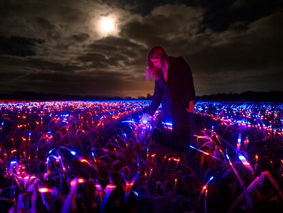 Imagen del proyecto GROW, un campo de puerros iluminado con las luces LED en Lelystad, en Países Bajos.