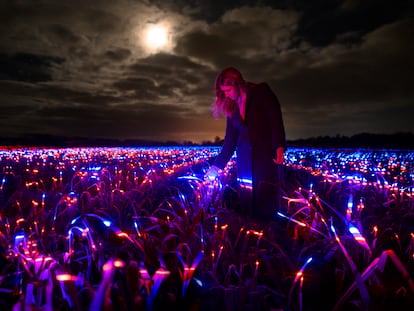 Imagen del proyecto GROW, un campo de puerros iluminado con las luces LED en Lelystad, en Países Bajos.