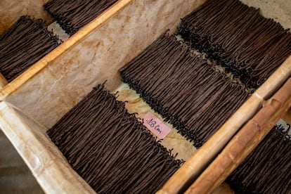 Detalle de las vainas de vainilla de Spice Aroma, el 26 de mayo de 2025.