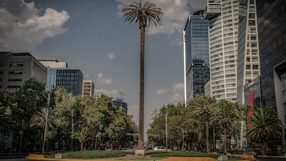 Vista de la glorieta de la Palma, el 21 de abril de 2022.