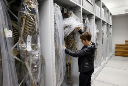 Liliana Huet, gerente de la colección del Museo del Hombre, revisa los esqueletos en las bóvedas del museo en París (Francia). El museo volverá a abrir sus puertas el 17 de octubre 2015 después de 6 años de obras.