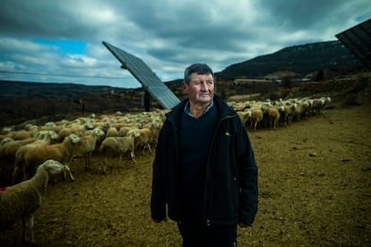 José Antonio Palomero, junto a sus ovejas, en Cantavieja. En sus tierras se levantará un molino. 