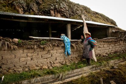 Natalia muestra el cobertizo que han podido construir para que sus alpacas se resguarden en esas temporadas tan largas y cada vez más recurrentes de frío. "Lo levantamos hace tres o cuatro años", recuerda. "Ojalá tuviera uno como este para cada especie", sueña para sus vacas y ovejas.