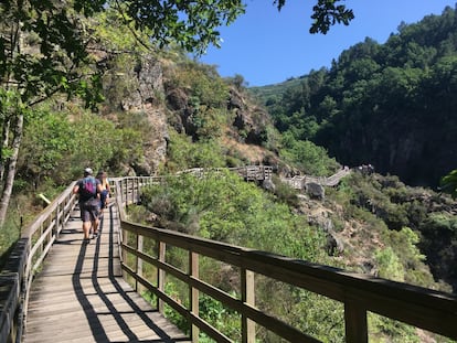 En la Ribeira Sacra conviene echar el pie a tierra para contemplar en primera fila el paisaje que define su orografía de angostos y profundos desfiladeros fluviales. Una buena elección para ello es la ruta senderista del cañón del río Mao, que propone un cómodo paseo por un sistema de pasarelas de madera que se elevan sobre su cauce y discurren, a tramos, por un fresco bosque de robles y castaños hasta las playas fluviales del Mao. La caminata, que parte desde una antigua central hidroeléctrica reconvertida en albergue —la Fábrica de luz—, forma parte de un itinerario circular más largo y exigente (PR-G 117) que asciende hasta la necrópolis medieval en San Vitor de Barxacova y sus tumbas antropomorfas y ofrece buenas panorámicas de los cortados del Sil y el punto donde el Mao vierte a este sus aguas, en Barxacova. Si quedan más ganas de caminar, desde esta aldea un sendero local que discurre a media ladera por encima del Sil conecta con el pueblo de Rabacallos y, desde ahí, con otro sendero circular (PR-G 98) que con inicio y final en Parada de Sil pasa por el famoso mirador de los Balcones de Madrid y el escondido monasterio de Santa Cristina. Más información: <a href="http://afabricadaluz.com/" target="_blank">afabricadaluz.com</a>