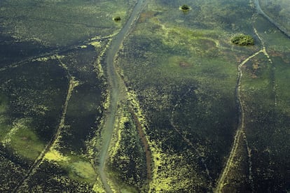 Panorâmica de uma zona florestal ao norte do Estado do Amapá.