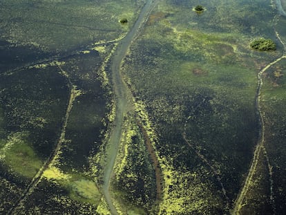 Panorâmica de uma zona florestal ao norte do Estado do Amapá.