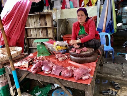 VENDEDORA DE CARNE SENTADA EN EL MOSTRADOR / CAPEL