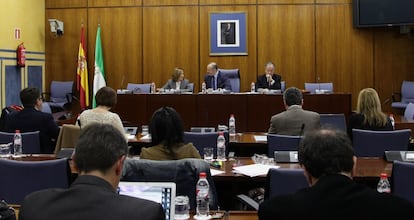 Teresa Arrieta, durante su intervenci&oacute;n en la comisi&oacute;n este lunes. 