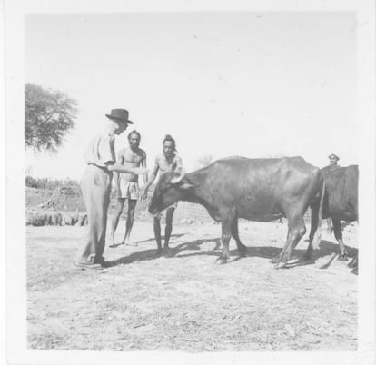 Le Corbusier saluda a unos animales en Chandigarh.