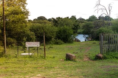 Una de las razones por las que los elefantes permanecen en Botsuana es porque todo el territorio está abierto para que tengan facilidades para cruzarlo. De hecho, el 38% del país está protegido.