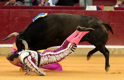 Mariano de la Viña, a merced del toro que lo corneó de extrema gravedad.