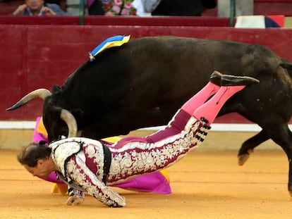 Mariano de la Viña, a merced del toro que lo corneó de extrema gravedad.