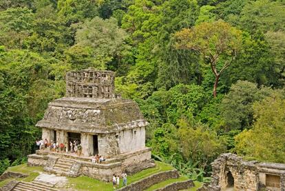 Para sumergirse con todos los sentidos en el antiguo mundo de los mayas hay que visitar el exquisito yacimiento de Palenque, en Chiapas, un lugar donde las pirámides se alzan entre las copas de los árboles de la jungla y los monos chillan mientras se columpian en el denso follaje.