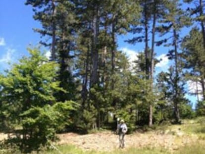 El Monte Ventoux ya fue escenario en 2013 de la búsqueda de los restos de Publio Cordón.