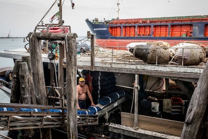 Un barco de pesca para la recolección de almejas silvestres, en el norte del Mar Adriático, y descarga su captura en un muelle privado, en la zona portuaria de Chioggia, Venecia, Italia, 25 de julio de 2016.