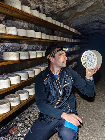 Adrián Collado, el fundador La Providencia 1888, con sus quesos en una antigua mina de la canal de las Vacas.