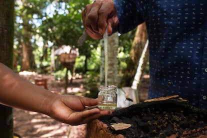 Con la miel que producen las abejas también curan enfermedades.