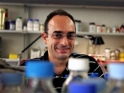 Carlos Lalueza Fox, en su laboratorio en la Universidad de Barcelona.