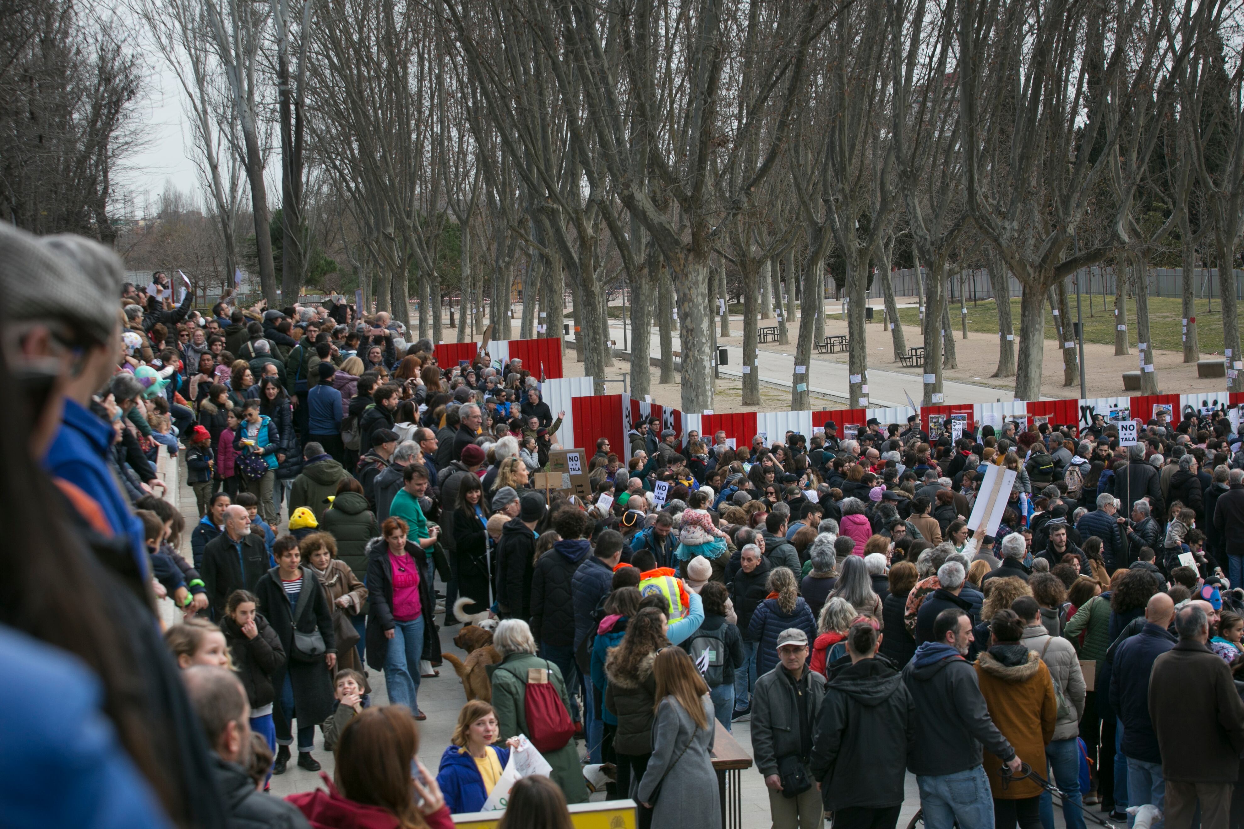 Concentración del domingo en Madrid Río como protesta por la tala de árboles del parque.