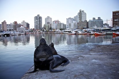 En el propio puerto es muy f&aacute;cil toparse con los simp&aacute;ticos lobos de mar. 