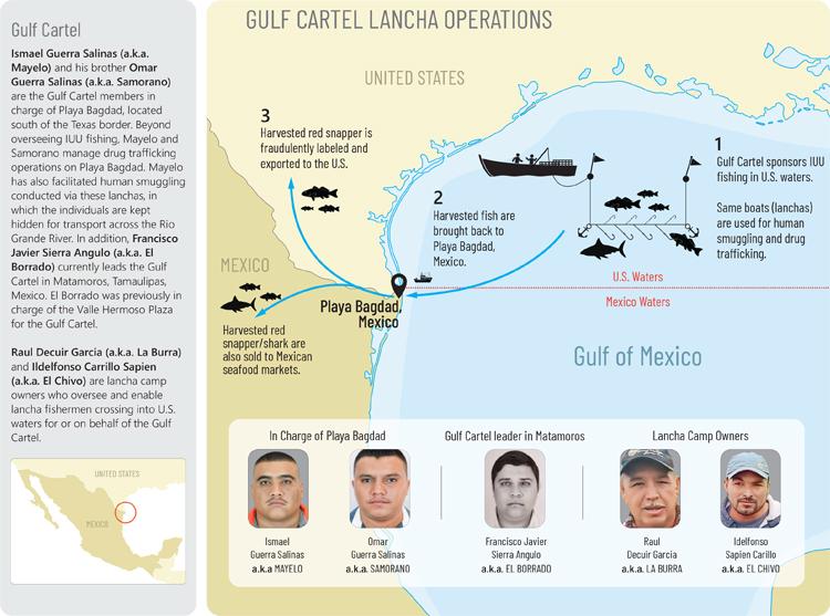 Un diagrama del Departamento del Tesoro sobre las operaciones de pesca ilegal del Cartel del Golfo.