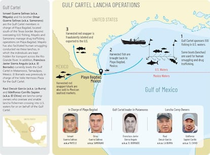 Un diagrama del Departamento del Tesoro sobre las operaciones de pesca ilegal del Cartel del Golfo.