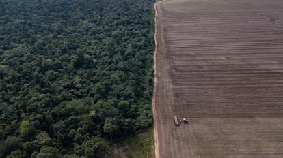 Vista aérea de una parcela lista para cultivar junto a una franja de vegetación en la Amazonia, Brasil. 
