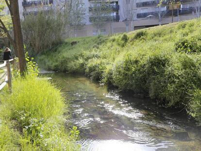 La s&egrave;quia, a Montcada i Reixach.