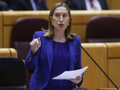 La ministra de Fomento, Ana Pastor. EFE/Archivo