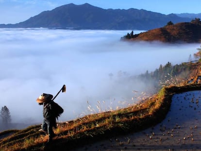 Terrazas de arroz en China.