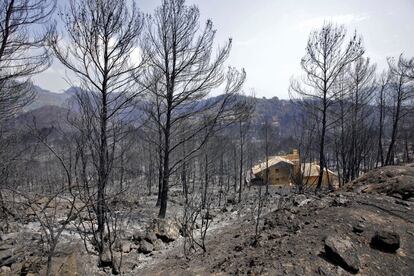 Vista de una de las viviendas afectadas por el incendio forestal de Llutxent, el 8 de agosto.